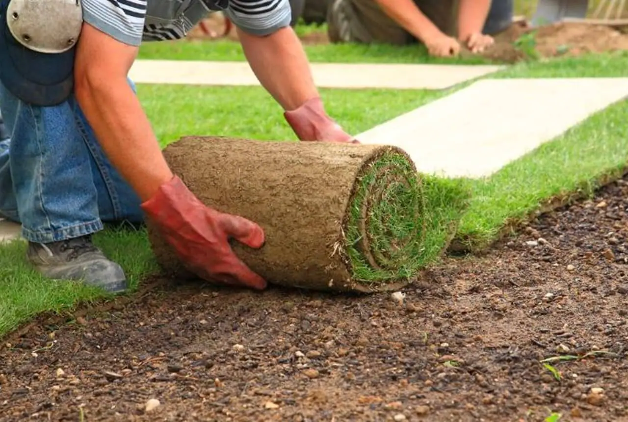 Florida Lawn Care Marketing